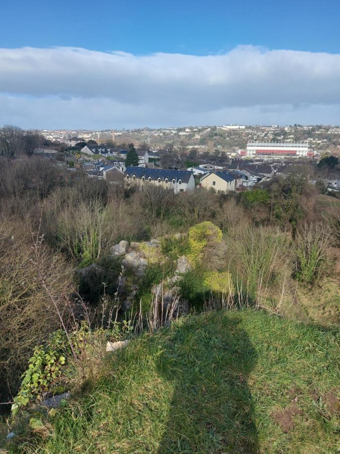 Blackrock Carole Ville Guesthouse Cork Bagian luar foto