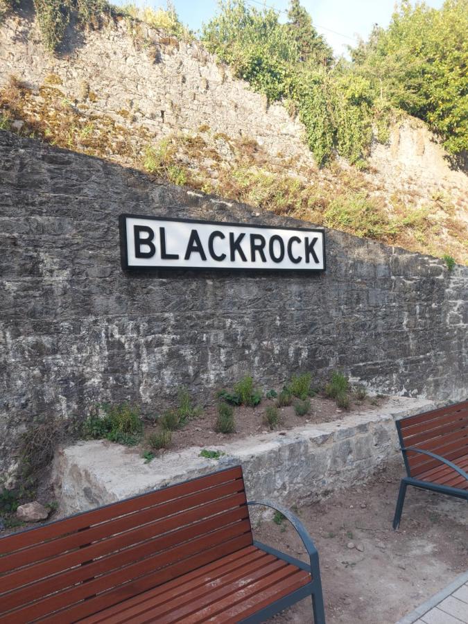 Blackrock Carole Ville Guesthouse Cork Bagian luar foto