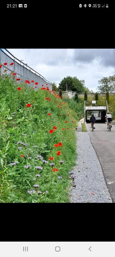 Blackrock Carole Ville Guesthouse Cork Bagian luar foto
